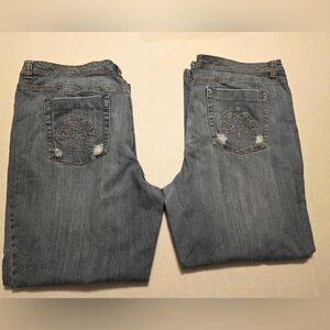 Lot of two Lane Bryant Venezia Denim Blue Jeans 26 Average
